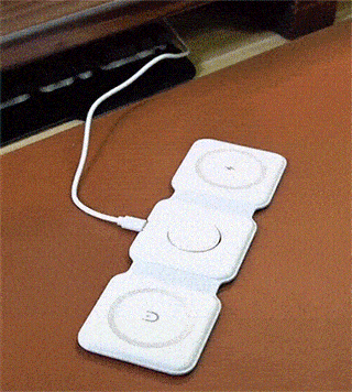 ZapNest™| Charge Smart, Live Free with ZapNest™